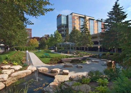 Allina Health Abbott Northwestern Hospital