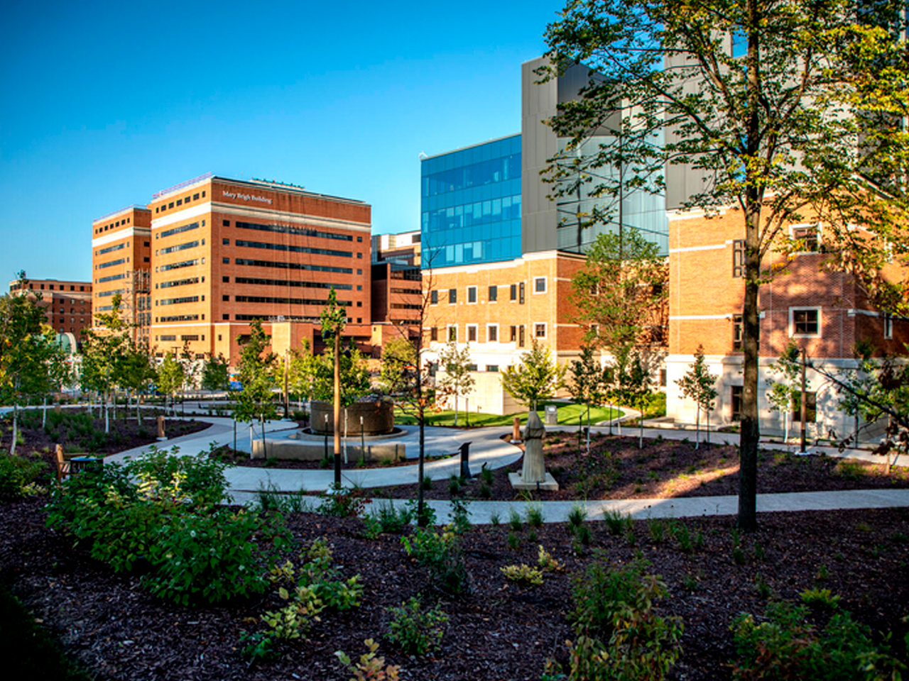 Mayo Clinic Children's