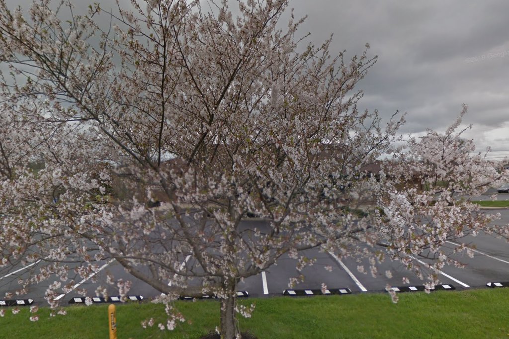 Labcorp