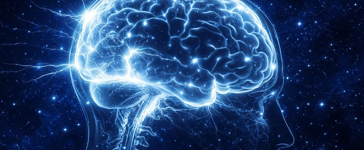 Physiologically, what happens to the brain as Alzheimer disease progresses?